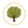 Grow Icon